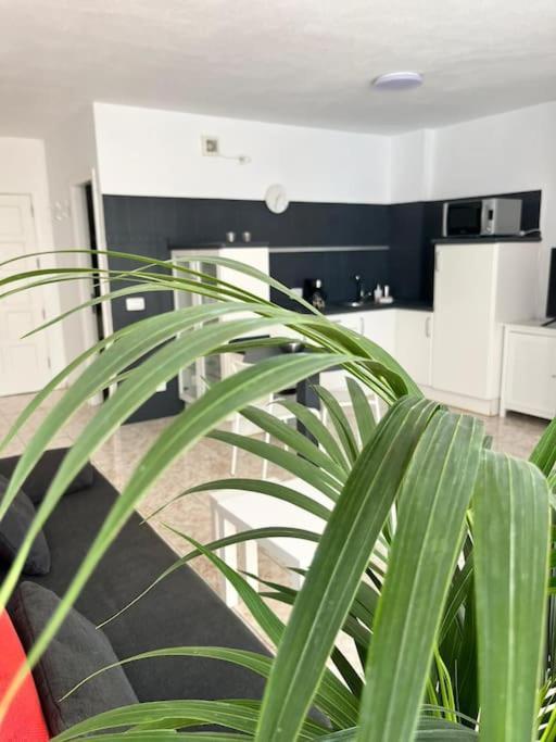 Heyhome Lynn 306 Los Cristianos  Extérieur photo